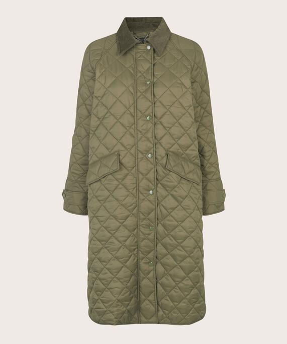 Tawny Coat, Sea Turtle
